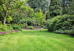 Optimiser l'expérience du jardin à Rouvroy-sur-Audry