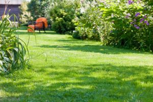 travaux jardin et paysage Rouvroy-sur-Audry